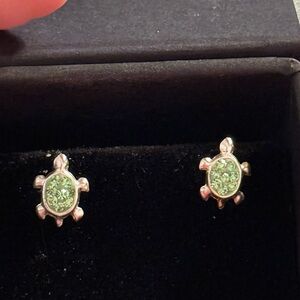 Green Turtle Stud Earrings